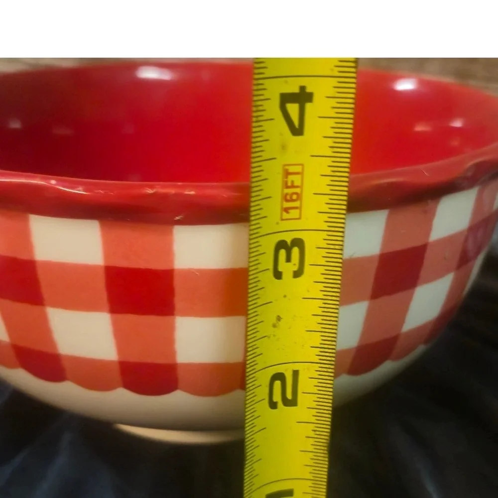 The Pioneer Woman Gingham Cow Stoneware 3pc Set 2 Salad Plates 1 Bowl Red White